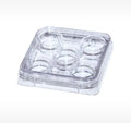 5-well dish with lid, sterilized