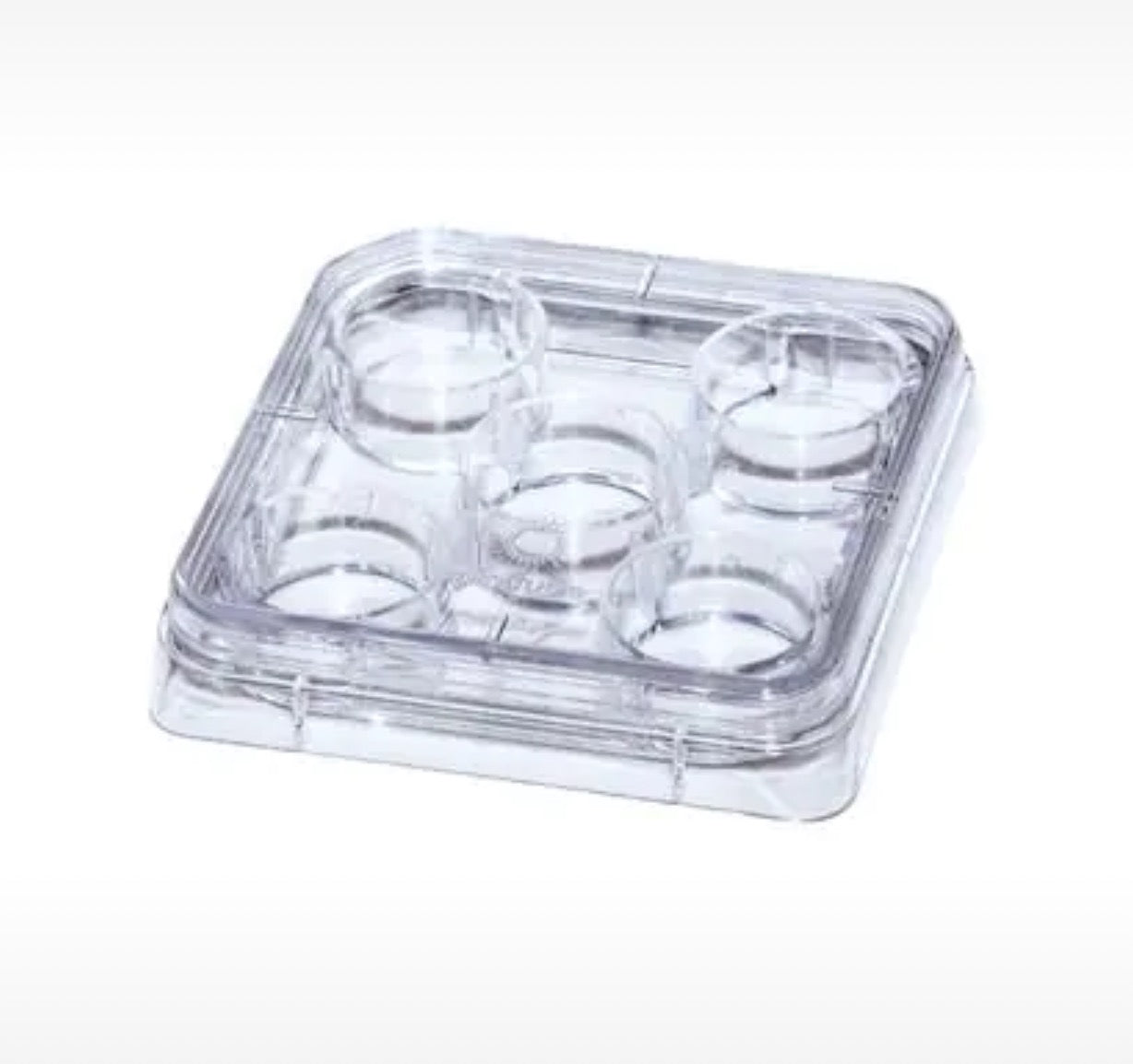 5-well dish with lid, sterilized