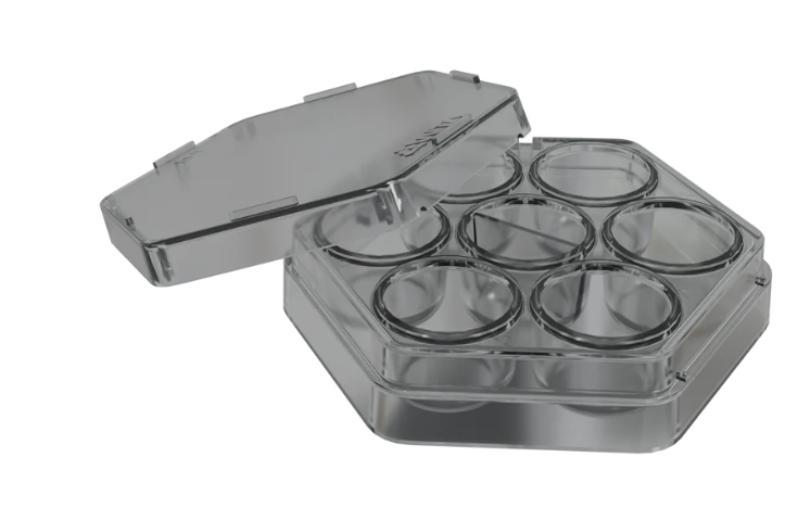 Cell Culture Plates 5-Well, 6-Well & 12-Well, Sterile